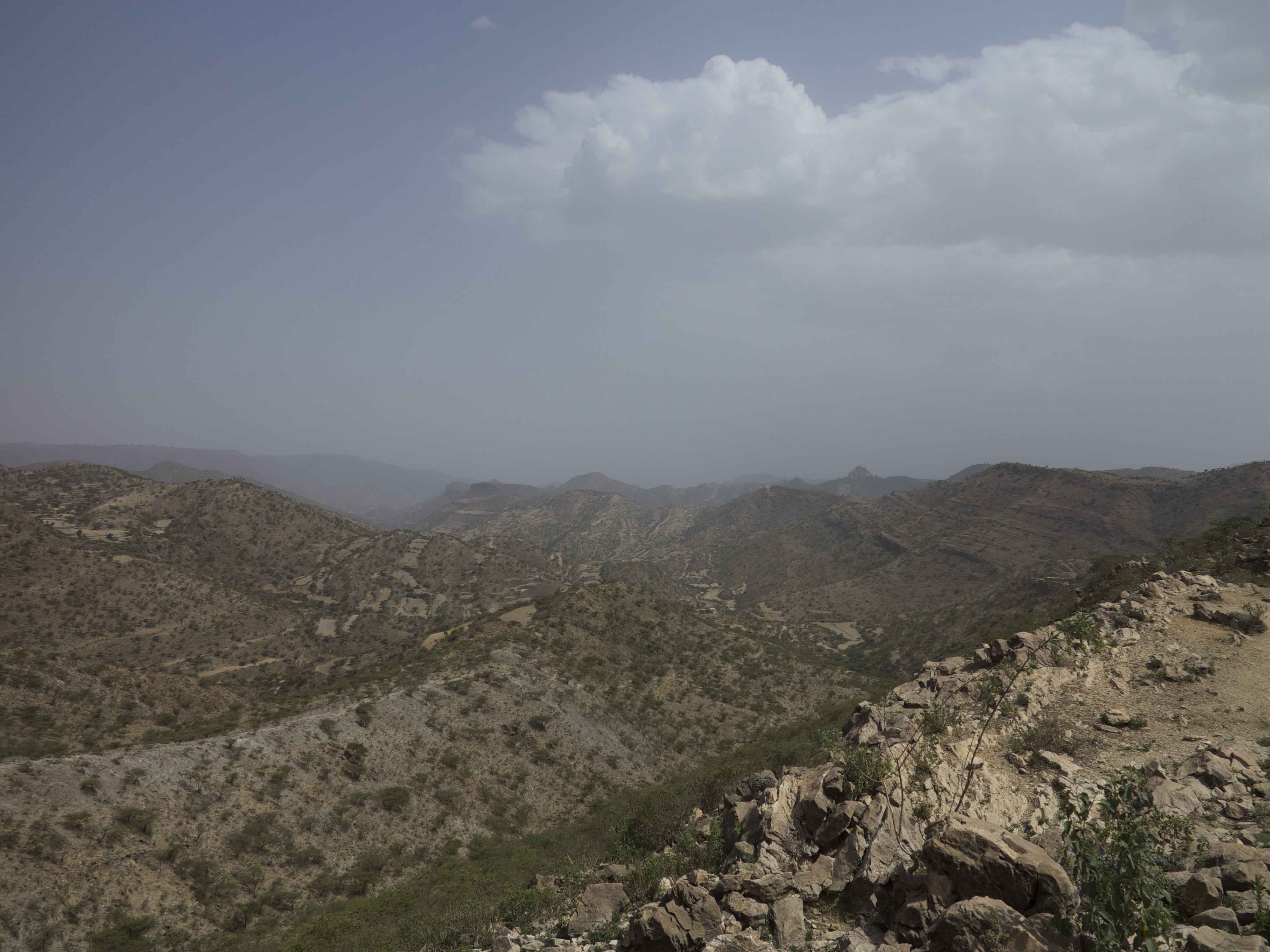 Negash syncline